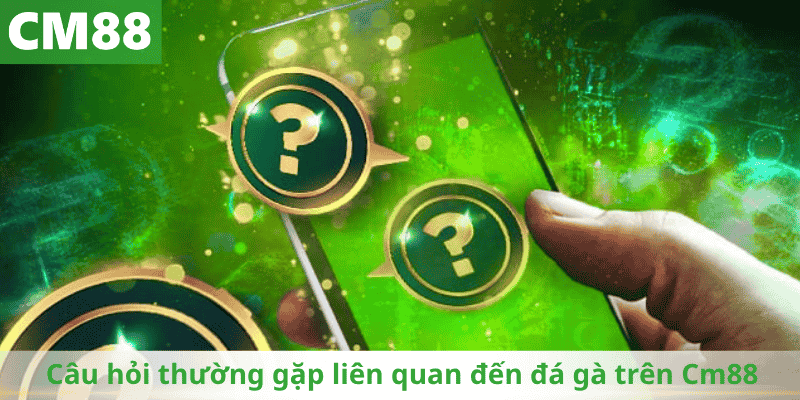 Câu hỏi thường gặp liên quan đến đá gà trên Cm88